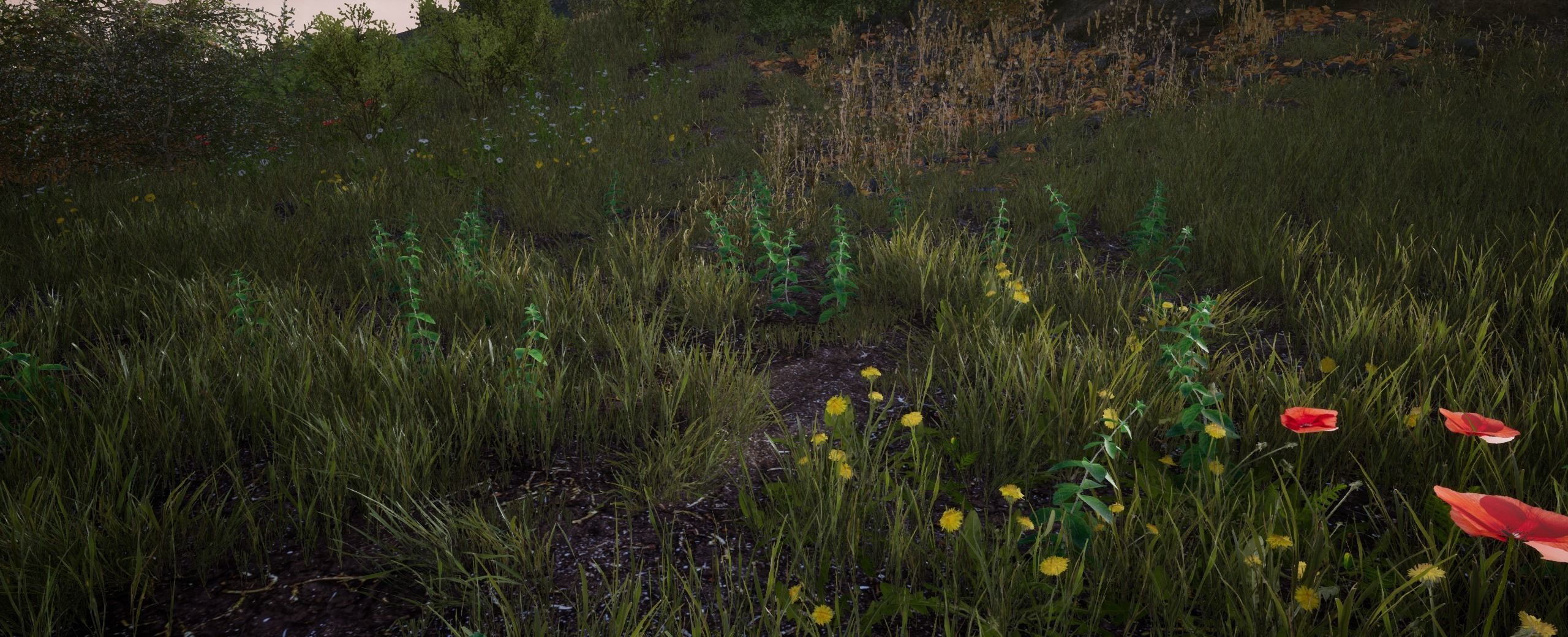 Mint European foliage 16 of 20 Low-poly 3D model Low-poly 3D model_4