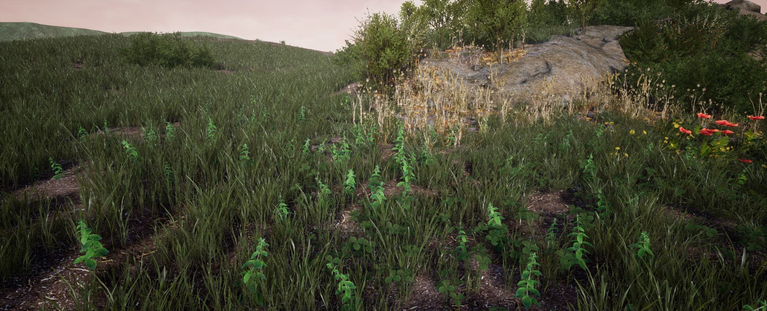 Mint European foliage 16 of 20 Low-poly 3D model Low-poly 3D model_2