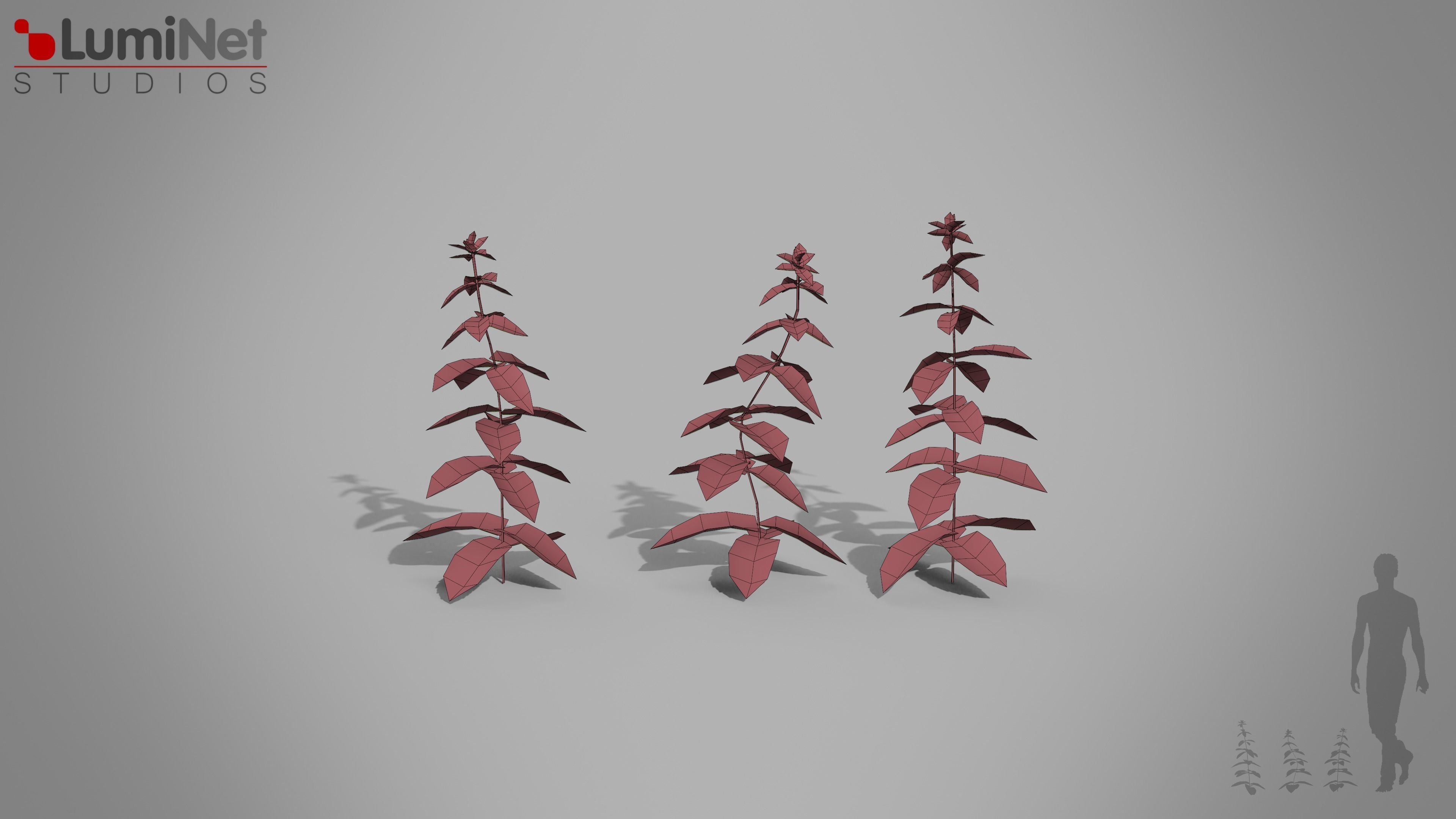 Mint European foliage 16 of 20 Low-poly 3D model Low-poly 3D model_1