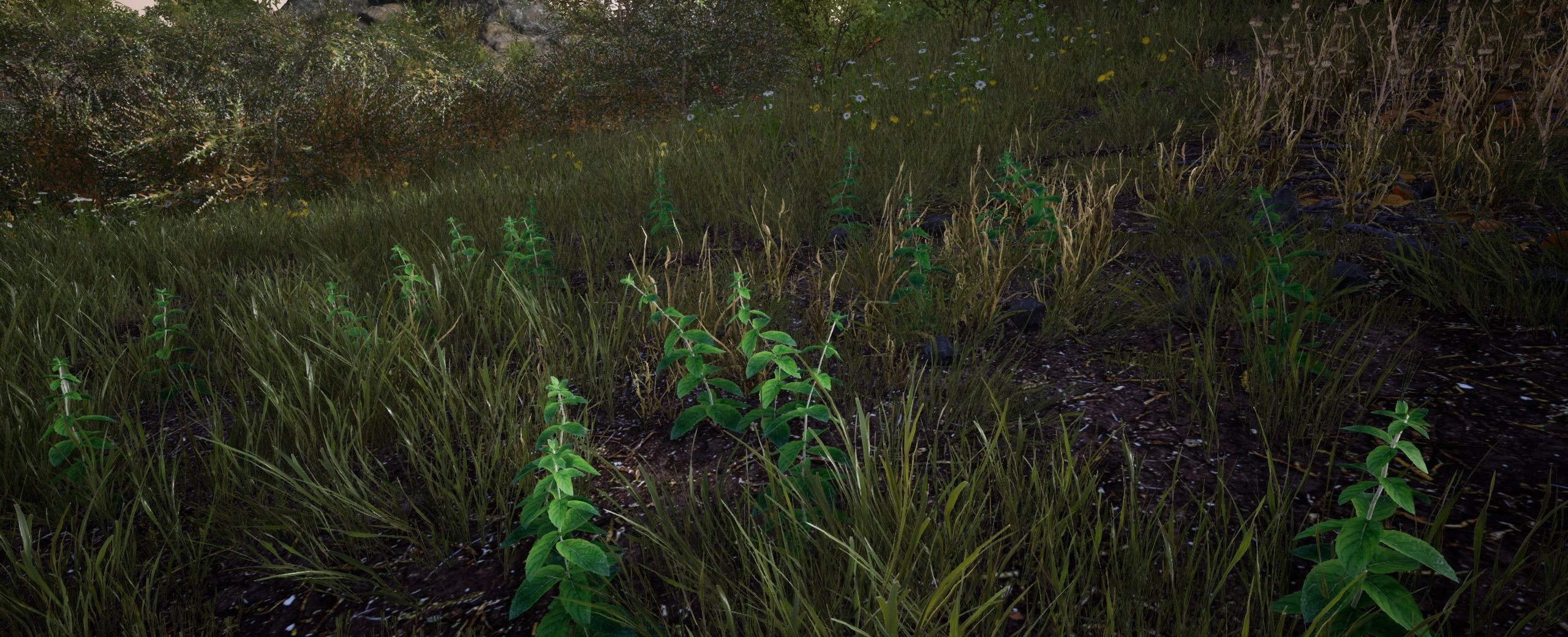 Mint European foliage 16 of 20 Low-poly 3D model Low-poly 3D model_5