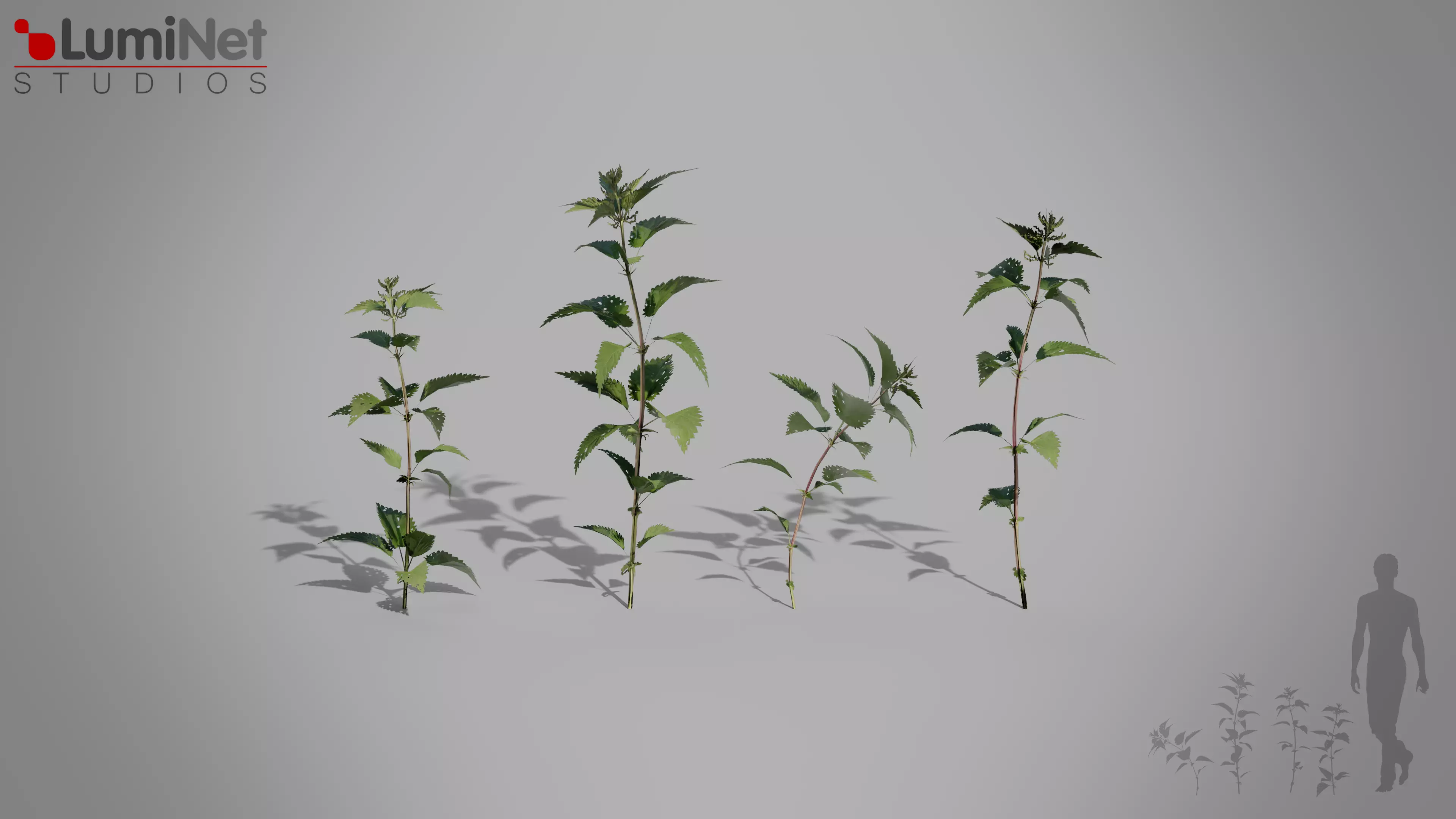 Nettle European foliage 17 of 20 Low-poly 3D model Low-poly 3D model_0
