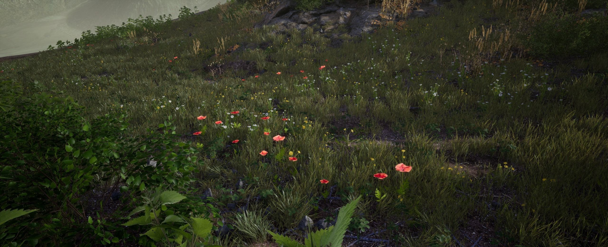 Poppy European foliage 18 of 20 Low-poly 3D model Low-poly 3D model_3