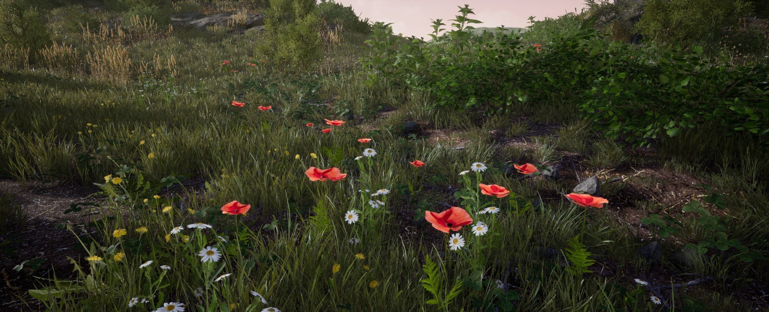 Poppy European foliage 18 of 20 Low-poly 3D model Low-poly 3D model_4