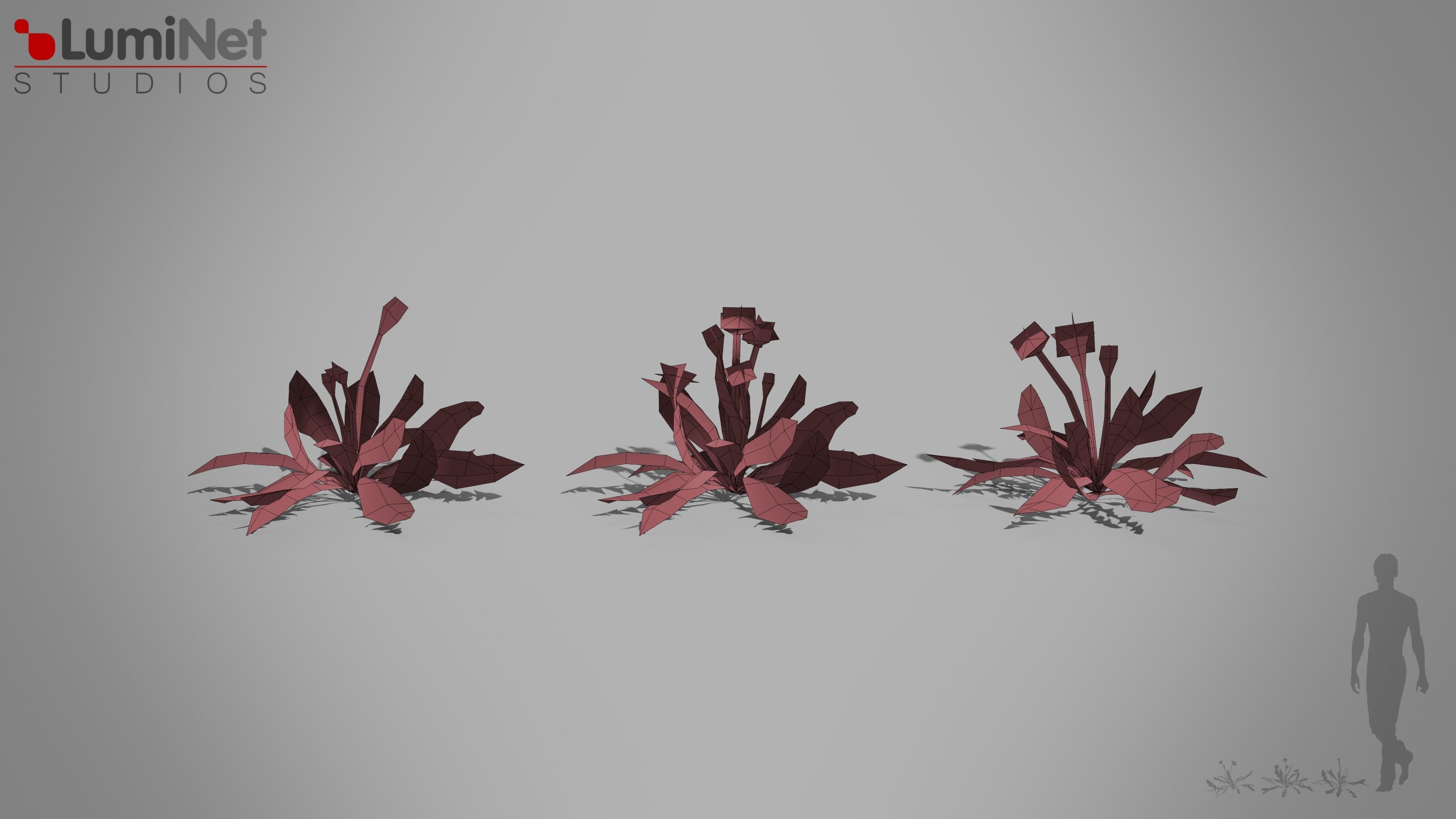 Thistle European foliage 20 of 20 Low-poly 3D model Low-poly 3D model_1