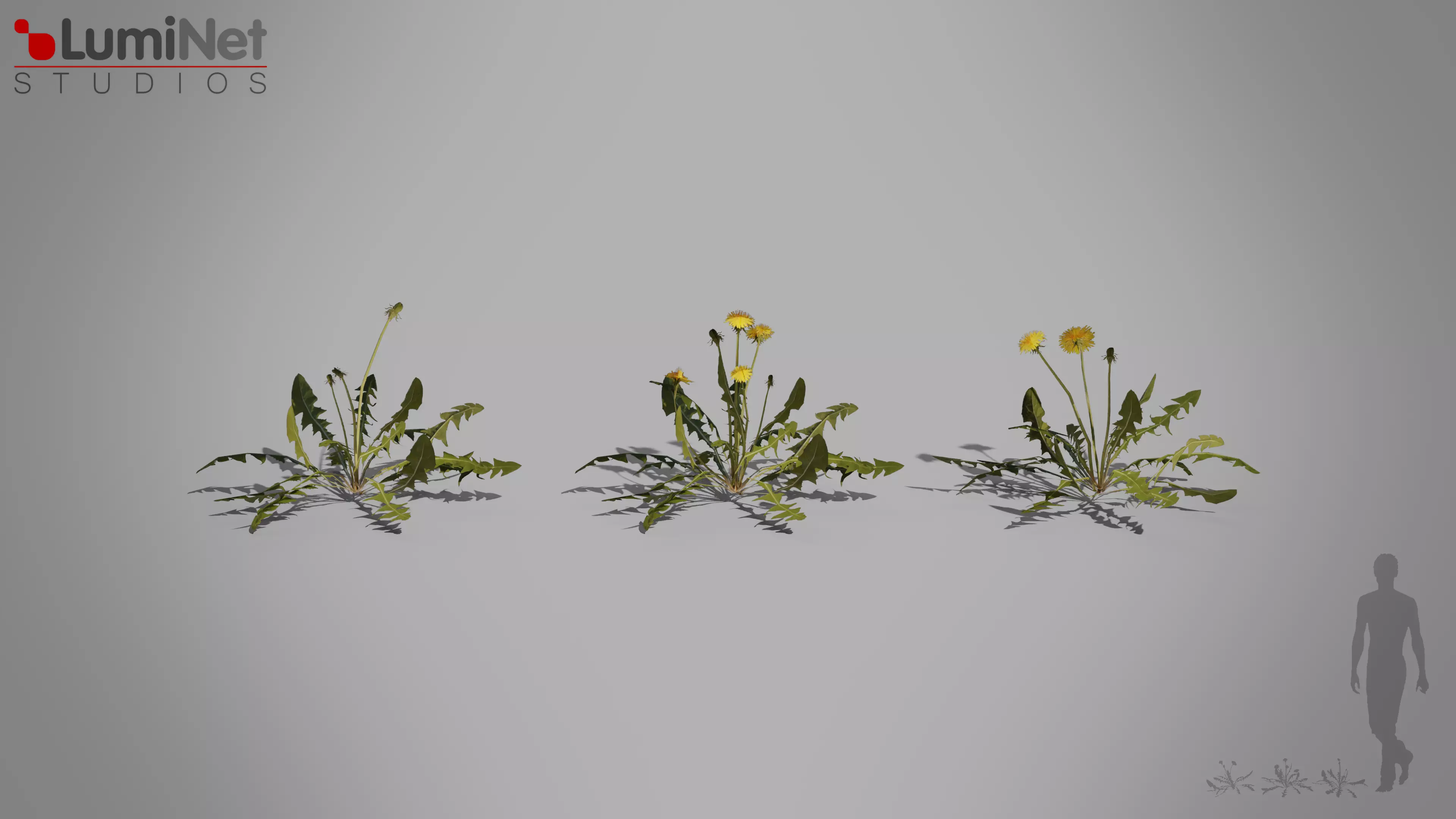 Thistle European foliage 20 of 20 Low-poly 3D model Low-poly 3D model_0