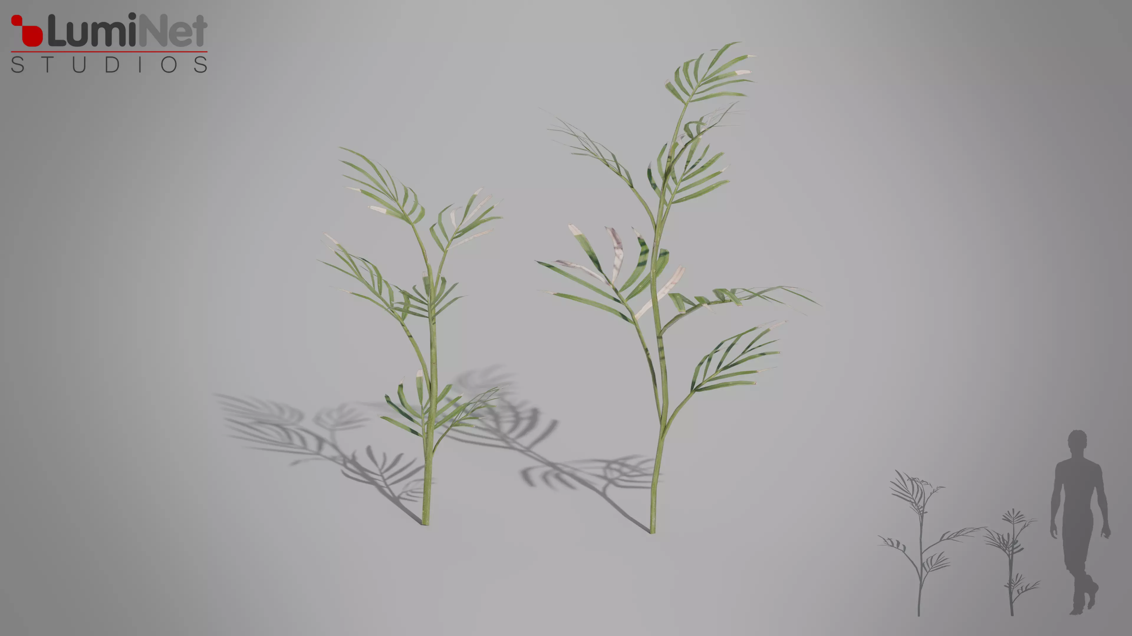 Bamboo Palm Jungle foliage 1 of 18 Low-poly 3D model Low-poly 3D model_0