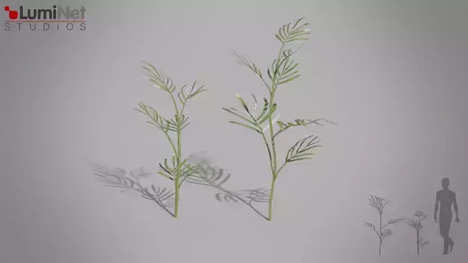 Bamboo Palm Jungle foliage 1 of 18 Low-poly 3D model