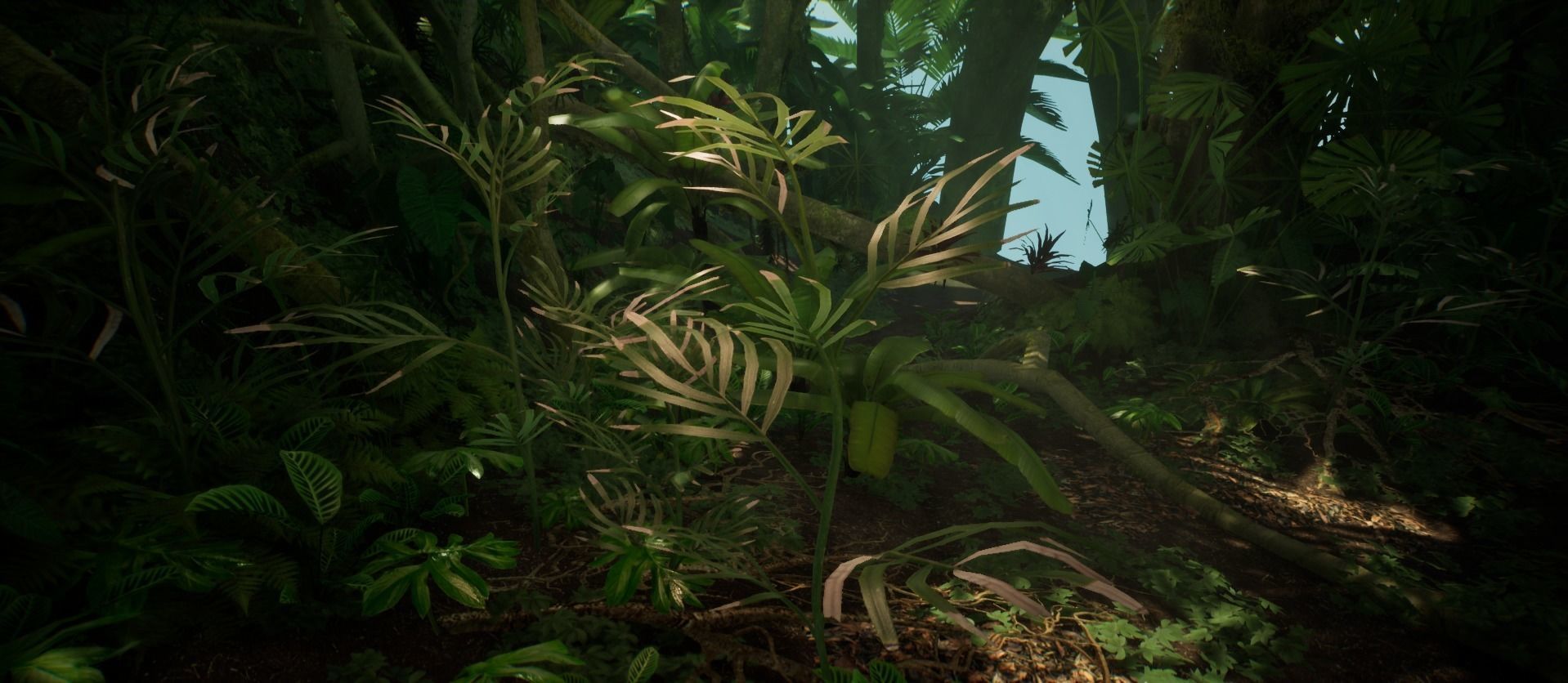 Bamboo Palm Jungle foliage 1 of 18 Low-poly 3D model Low-poly 3D model_5