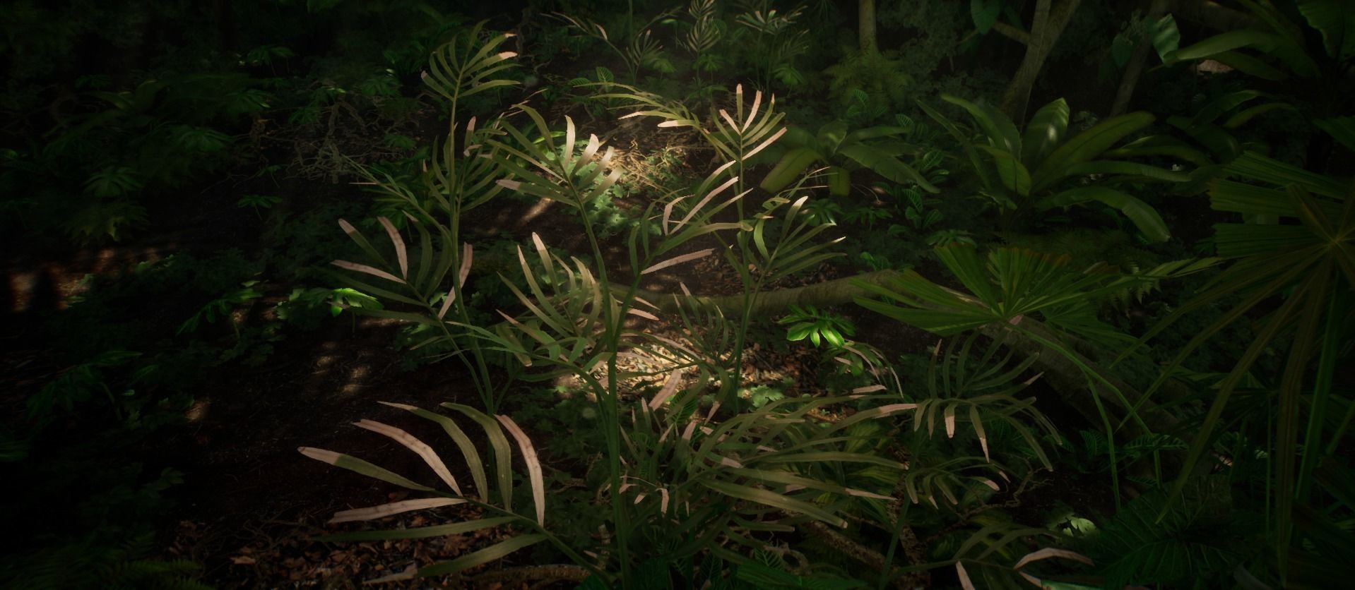 Bamboo Palm Jungle foliage 1 of 18 Low-poly 3D model Low-poly 3D model_6