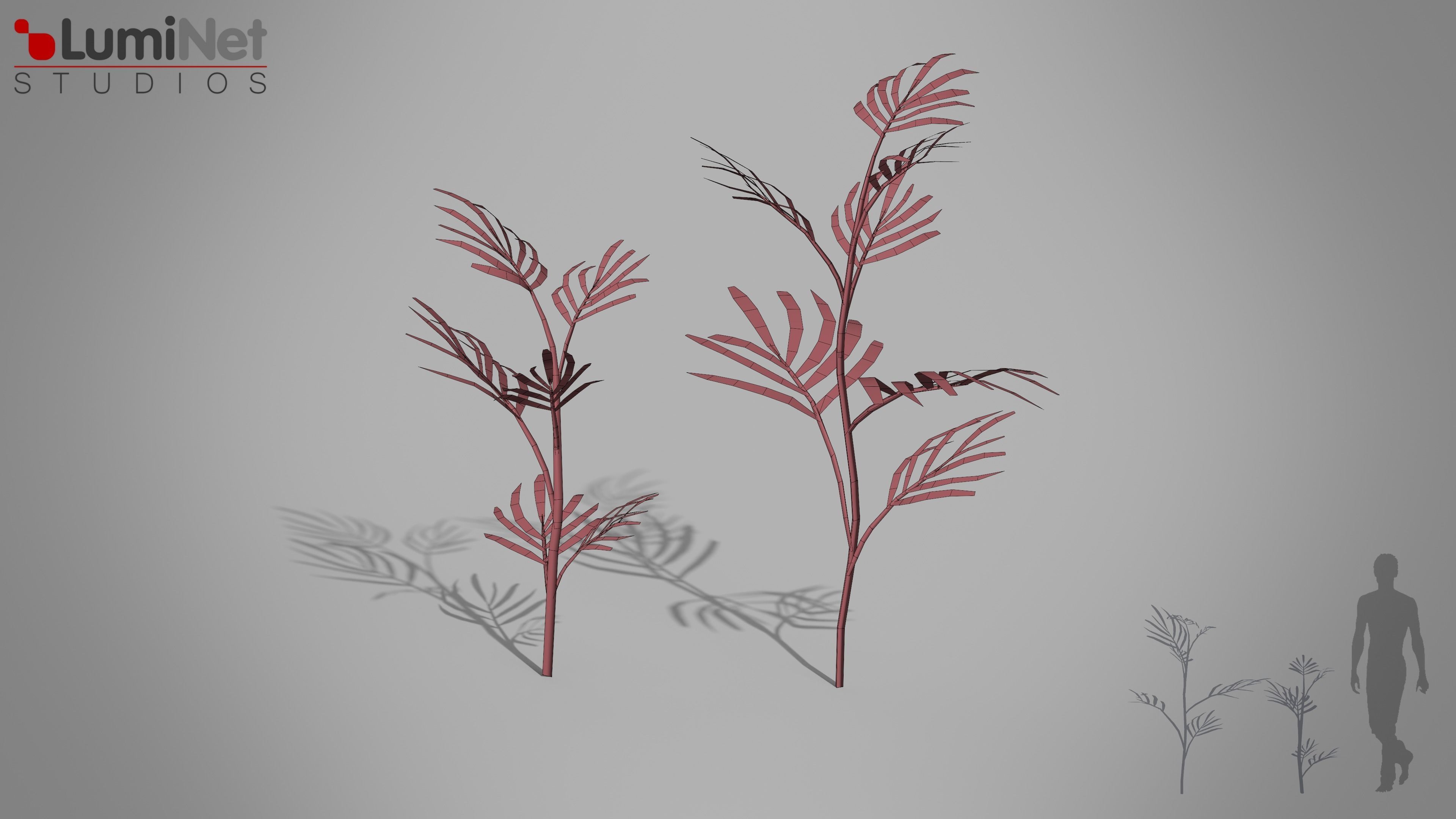 Bamboo Palm Jungle foliage 1 of 18 Low-poly 3D model Low-poly 3D model_1