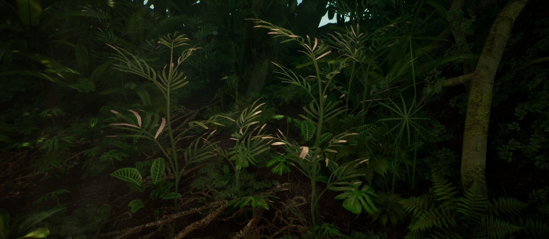 Bamboo Palm Jungle foliage 1 of 18 Low-poly 3D model Low-poly 3D model_2