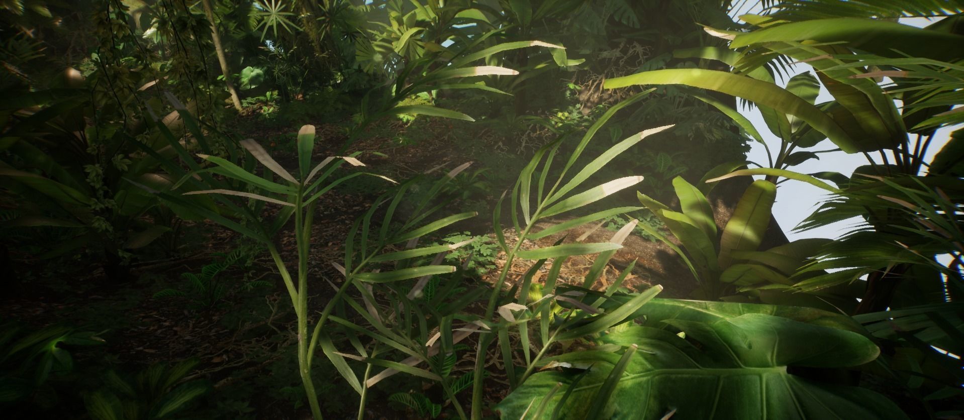 Bamboo Palm Jungle foliage 1 of 18 Low-poly 3D model Low-poly 3D model_4