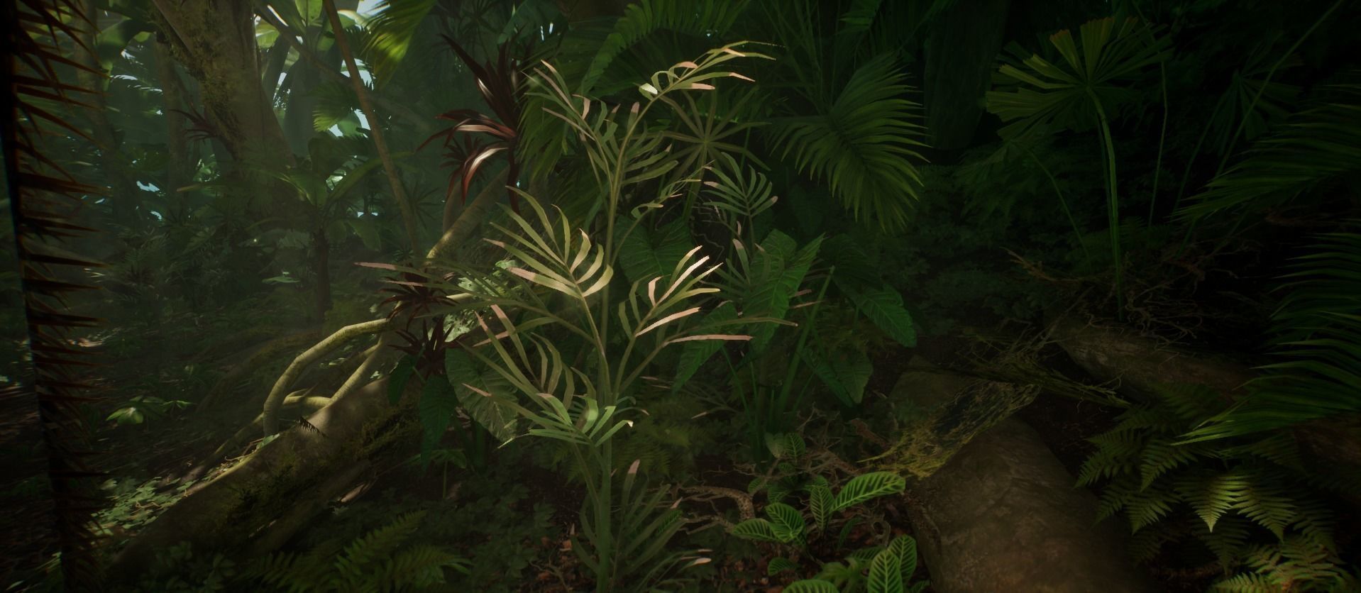 Bamboo Palm Jungle foliage 1 of 18 Low-poly 3D model Low-poly 3D model_3