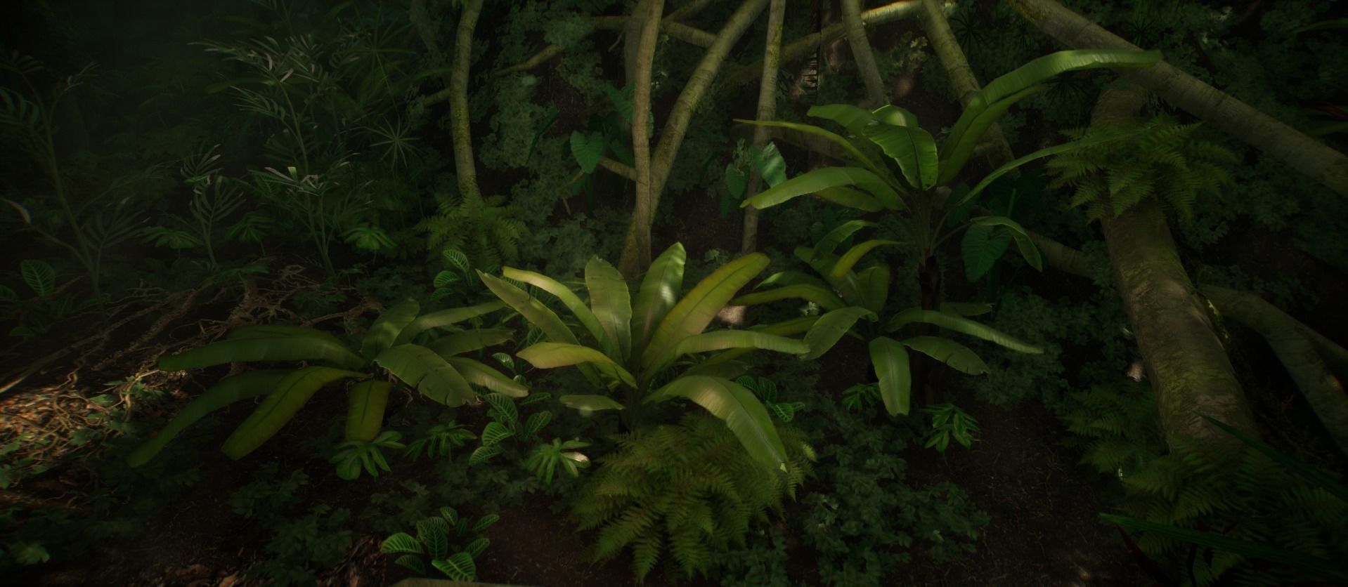 Banana Tree Jungle foliage 2 of 20 Low-poly 3D model Low-poly 3D model_5
