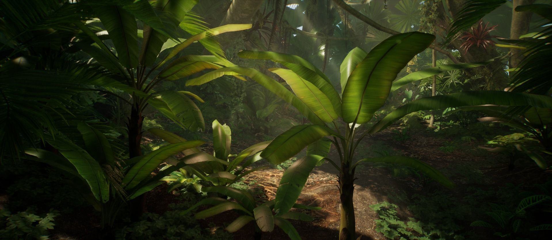 Banana Tree Jungle foliage 2 of 20 Low-poly 3D model Low-poly 3D model_2