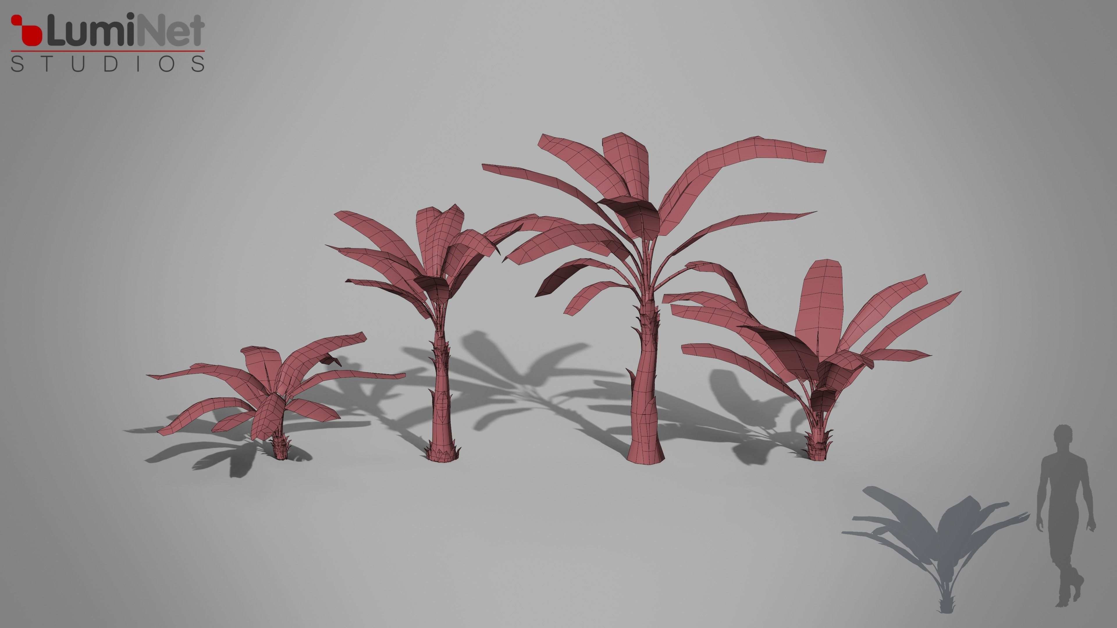Banana Tree Jungle foliage 2 of 20 Low-poly 3D model Low-poly 3D model_1