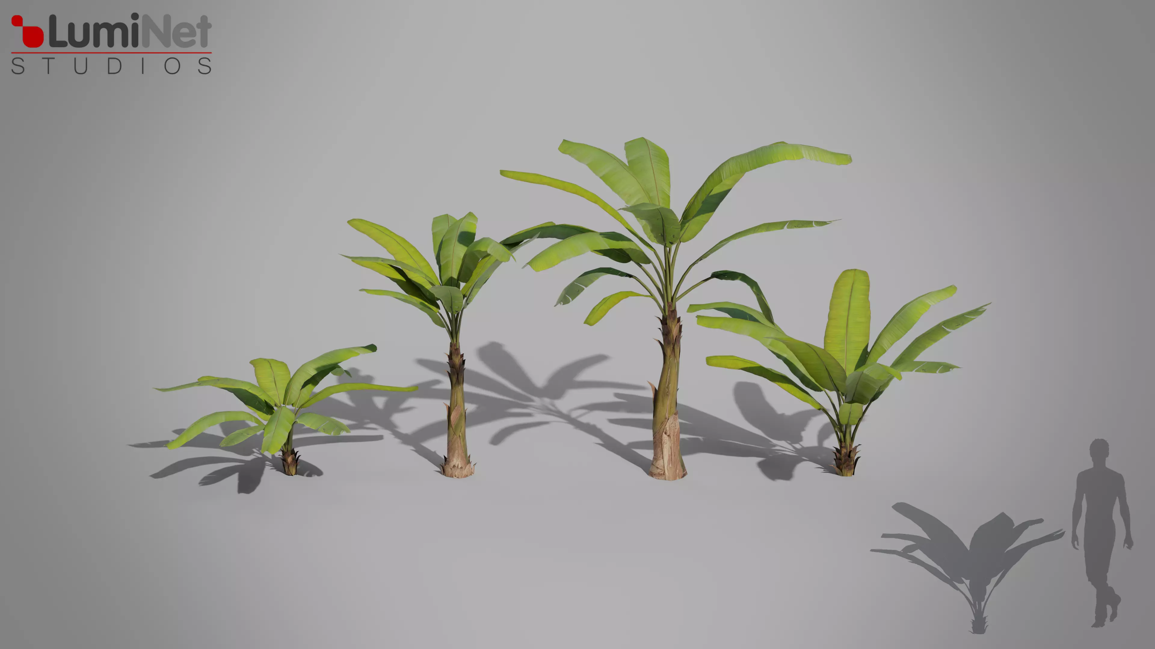 Banana Tree Jungle foliage 2 of 20 Low-poly 3D model Low-poly 3D model_0