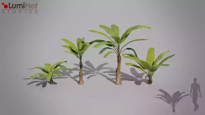 Banana Tree Jungle foliage 2 of 20 Low-poly 3D model Low-poly 3D model Banana Tree Jungle foliage 2 of 20 Low-poly 3D model Low-poly 3D model