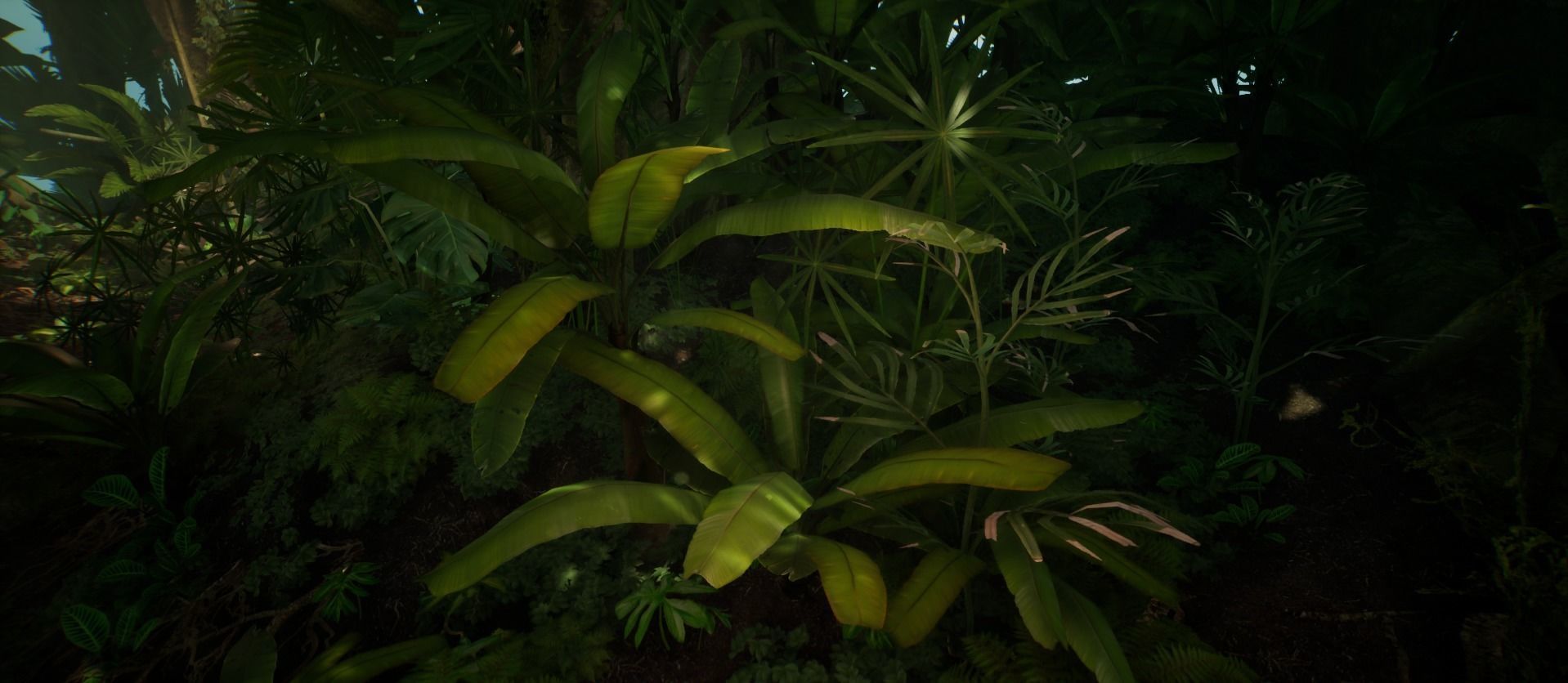 Banana Tree Jungle foliage 2 of 20 Low-poly 3D model Low-poly 3D model_3