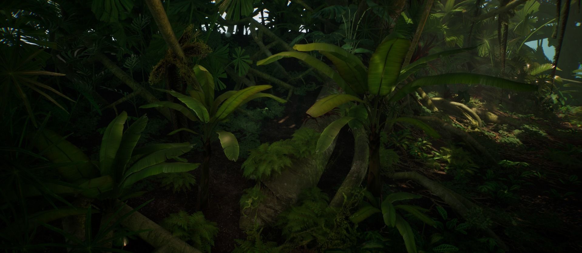 Banana Tree Jungle foliage 2 of 20 Low-poly 3D model Low-poly 3D model_4