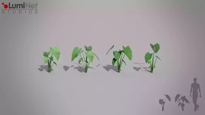 Elephant Ear Jungle foliage 5 of 18 Low-poly 3D model