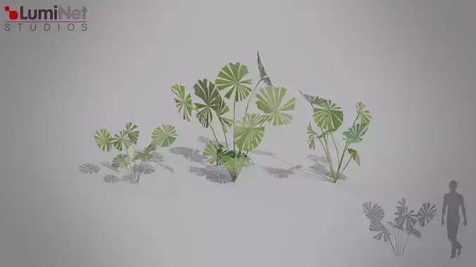 Fanpalm Jungle foliage 6 of 18 Low-poly 3D model