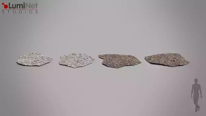 Leaves on ground Jungle foliage 7 of 18 Low-poly 3D model