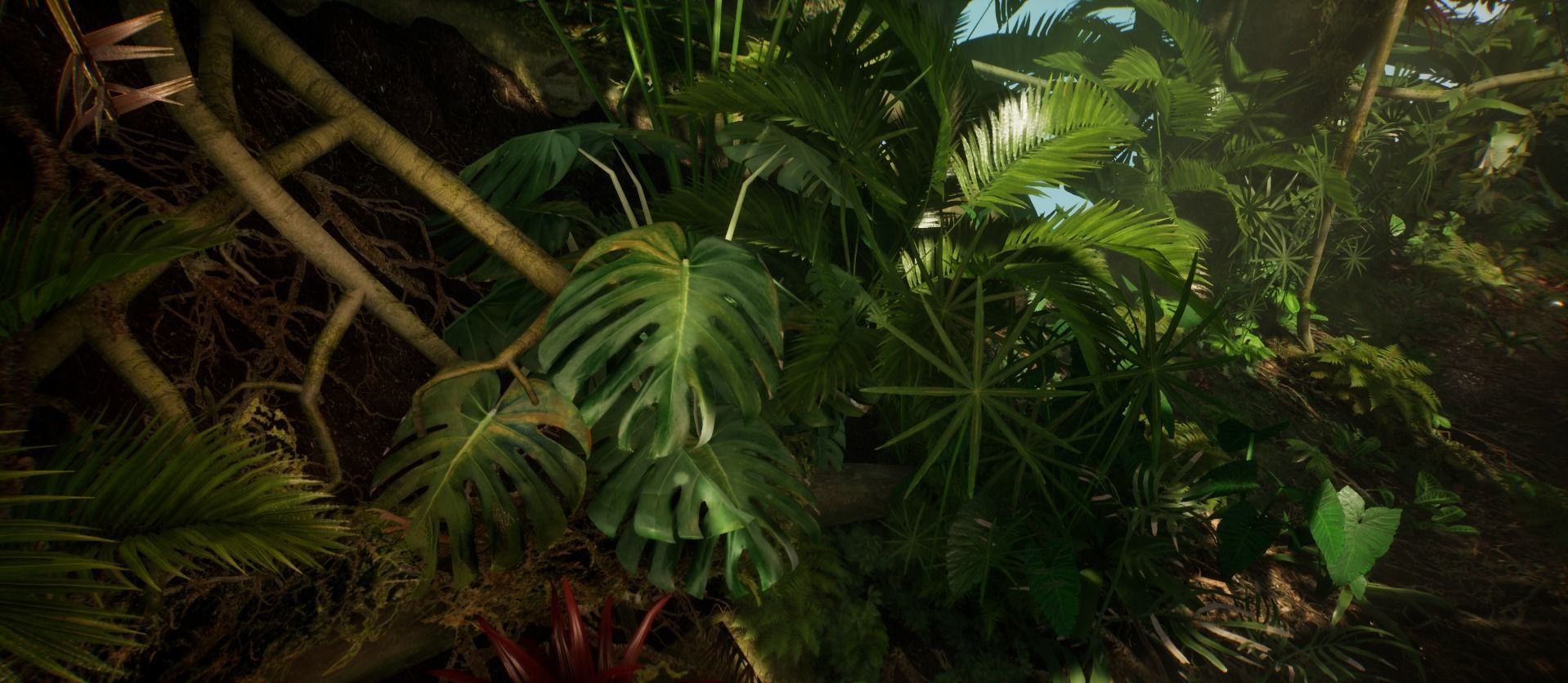 Monstera Jungle foliage 8 of 18 Low-poly 3D model Low-poly 3D model_2