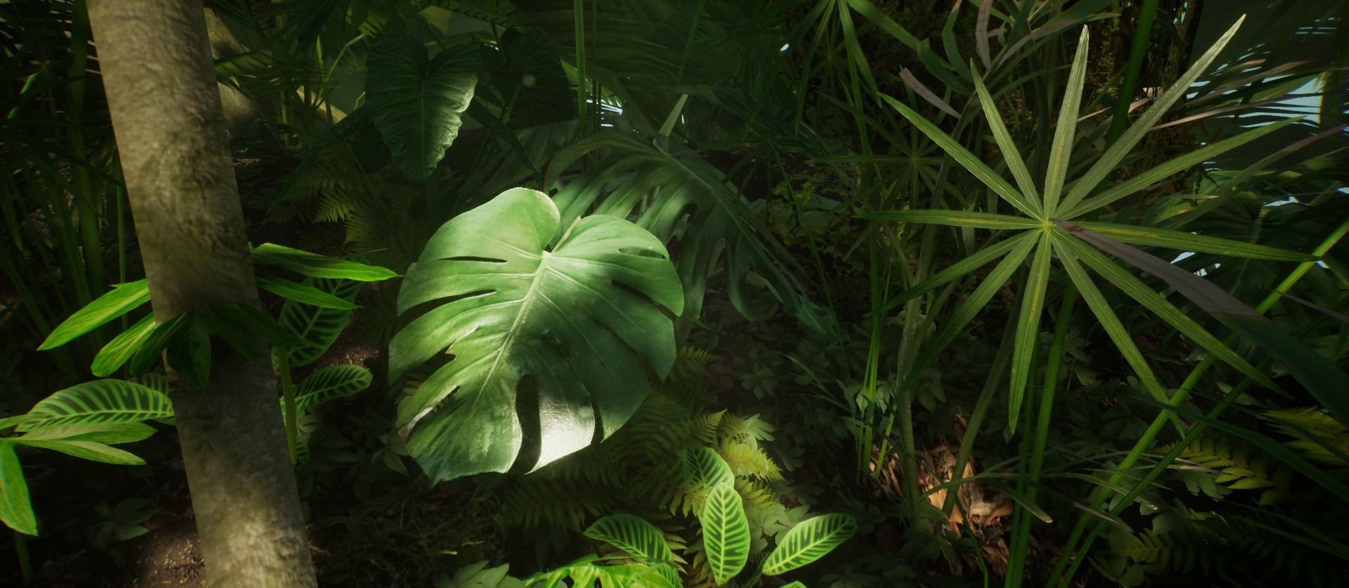 Monstera Jungle foliage 8 of 18 Low-poly 3D model Low-poly 3D model_4