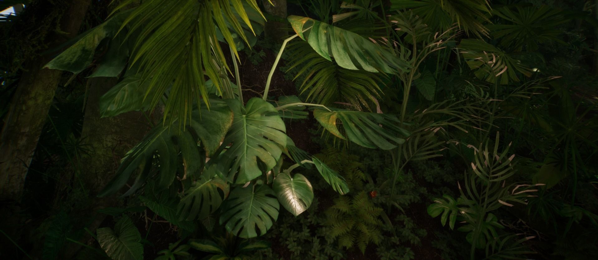 Monstera Jungle foliage 8 of 18 Low-poly 3D model Low-poly 3D model_3