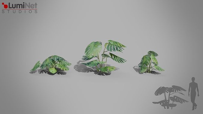 Monstera Jungle foliage 8 of 18 Low-poly 3D model Low-poly 3D model