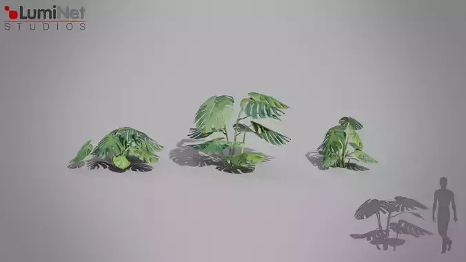 Monstera Jungle foliage 8 of 18 Low-poly 3D model Low-poly 3D model