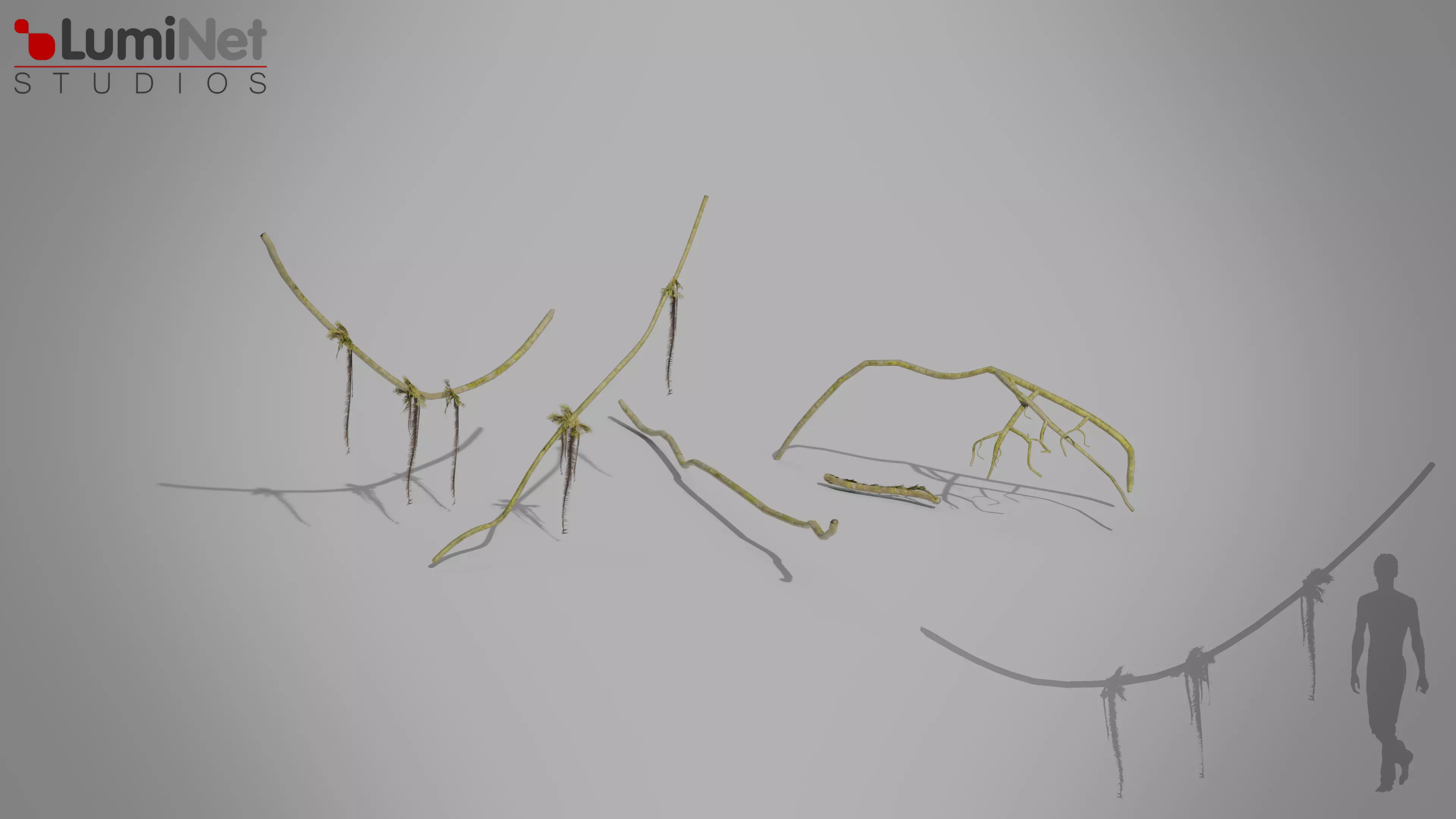 MossBranch Jungle foliage 9 of 18 Low-poly 3D model Low-poly 3D model