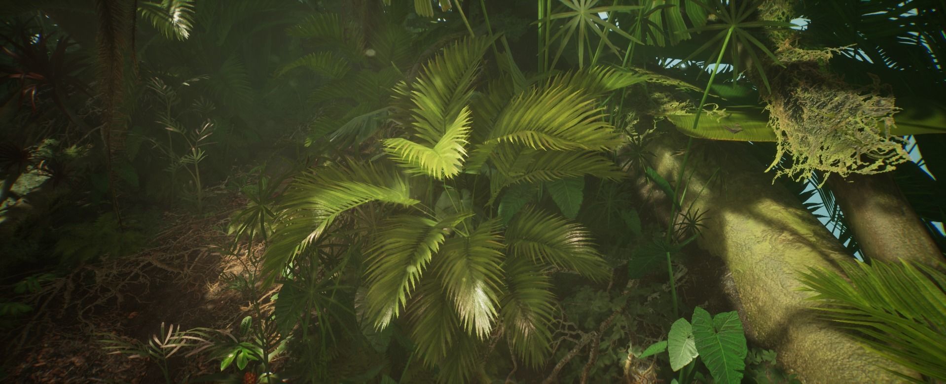 Plant Palm Jungle foliage 10 of 18 Low-poly 3D model Low-poly 3D model_2