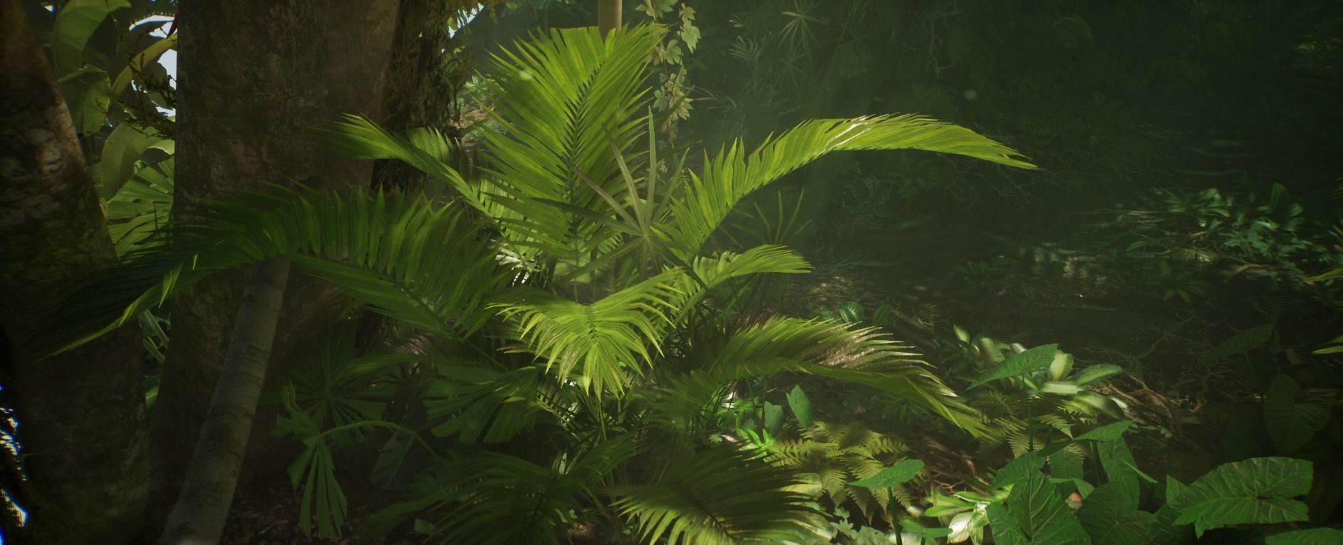 Plant Palm Jungle foliage 10 of 18 Low-poly 3D model Low-poly 3D model_4