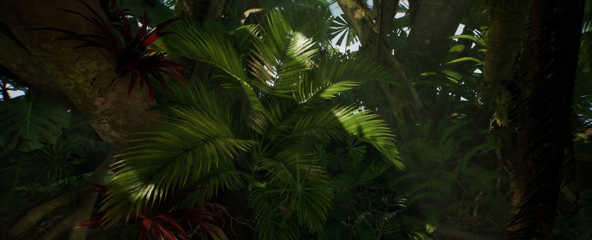 Plant Palm Jungle foliage 10 of 18 Low-poly 3D model Low-poly 3D model_3