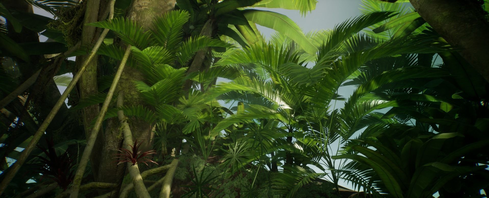 Plant Palm Jungle foliage 10 of 18 Low-poly 3D model Low-poly 3D model_5