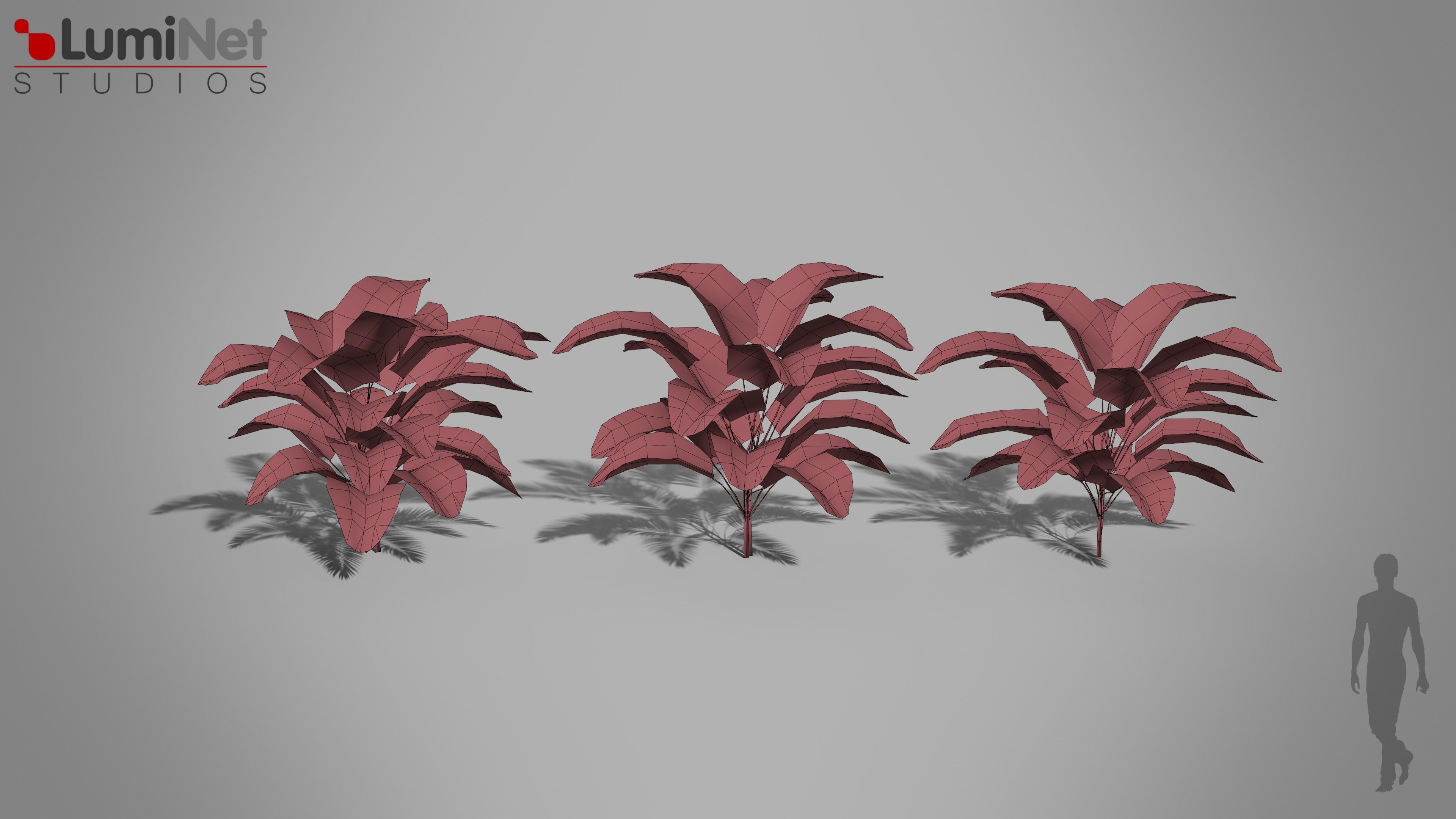 Plant Palm Jungle foliage 10 of 18 Low-poly 3D model Low-poly 3D model_1