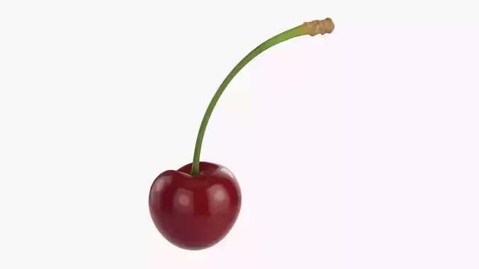 Cherry single 3D model