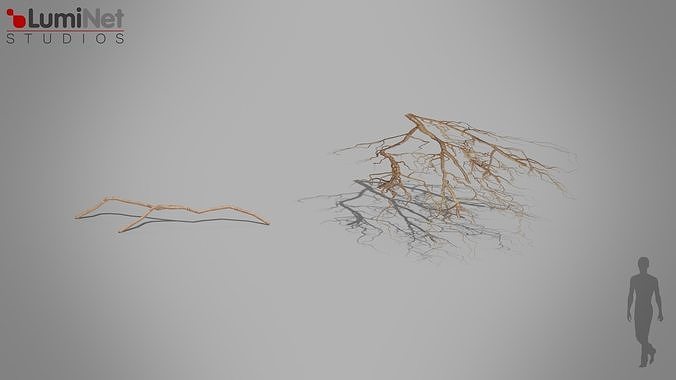 Root Jungle foliage 12 of 18 Low-poly 3D model Low-poly 3D model