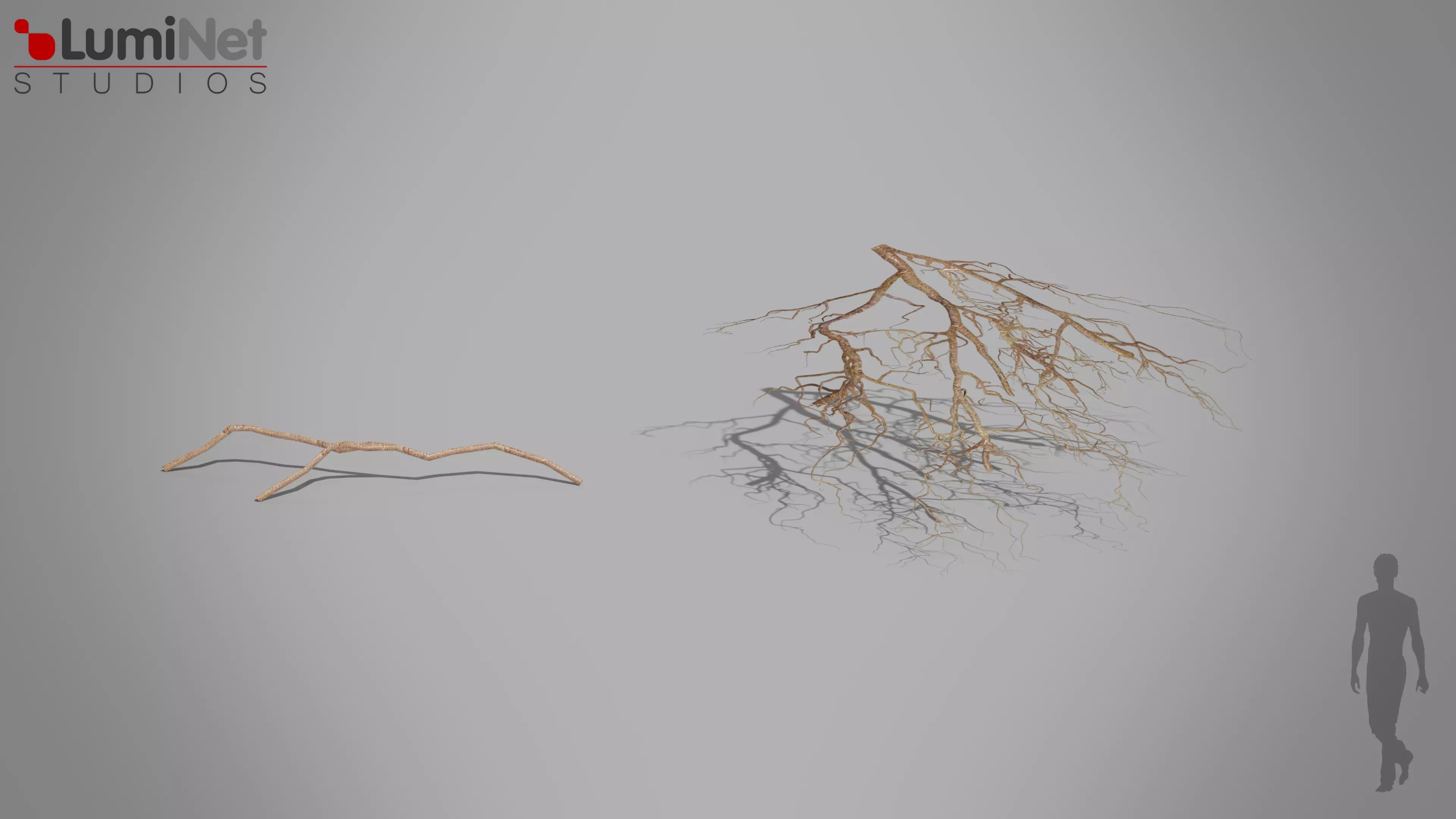 Root Jungle foliage 12 of 18 Low-poly 3D model Low-poly 3D model