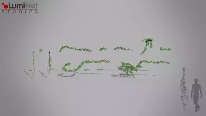 Runner Jungle foliage 13 of 18 Low-poly 3D model