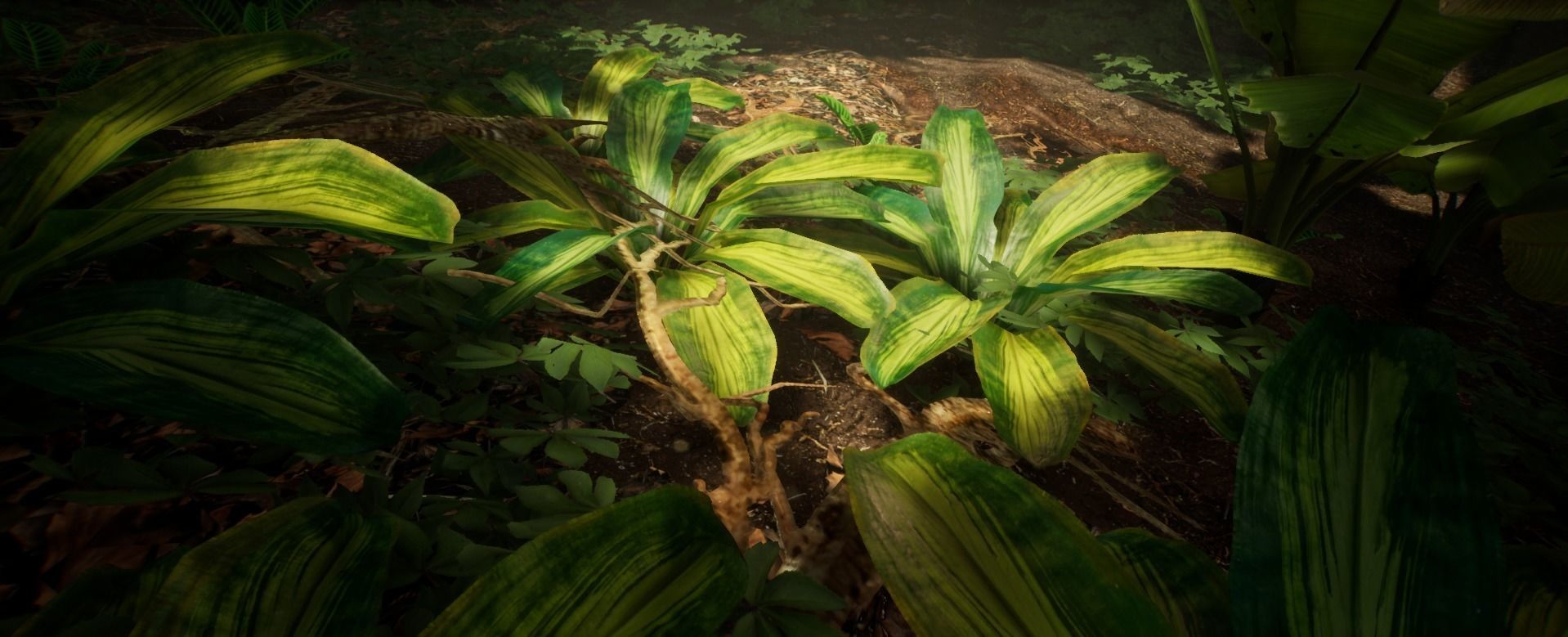 Tropical Leaves Jungle foliage 15 of 18 Low-poly 3D model Low-poly 3D model_5