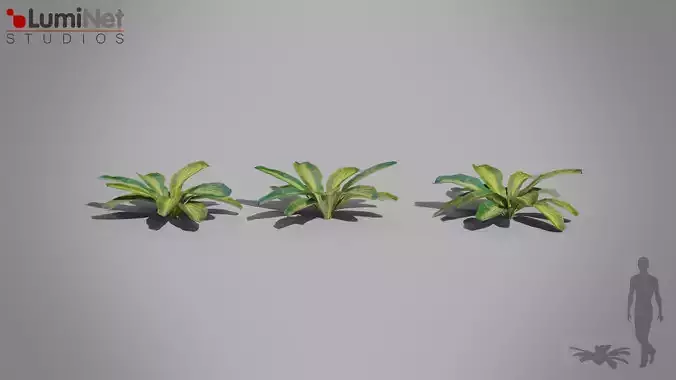 Tropical Leaves Jungle foliage 15 of 18 Low-poly 3D model Low-poly 3D model