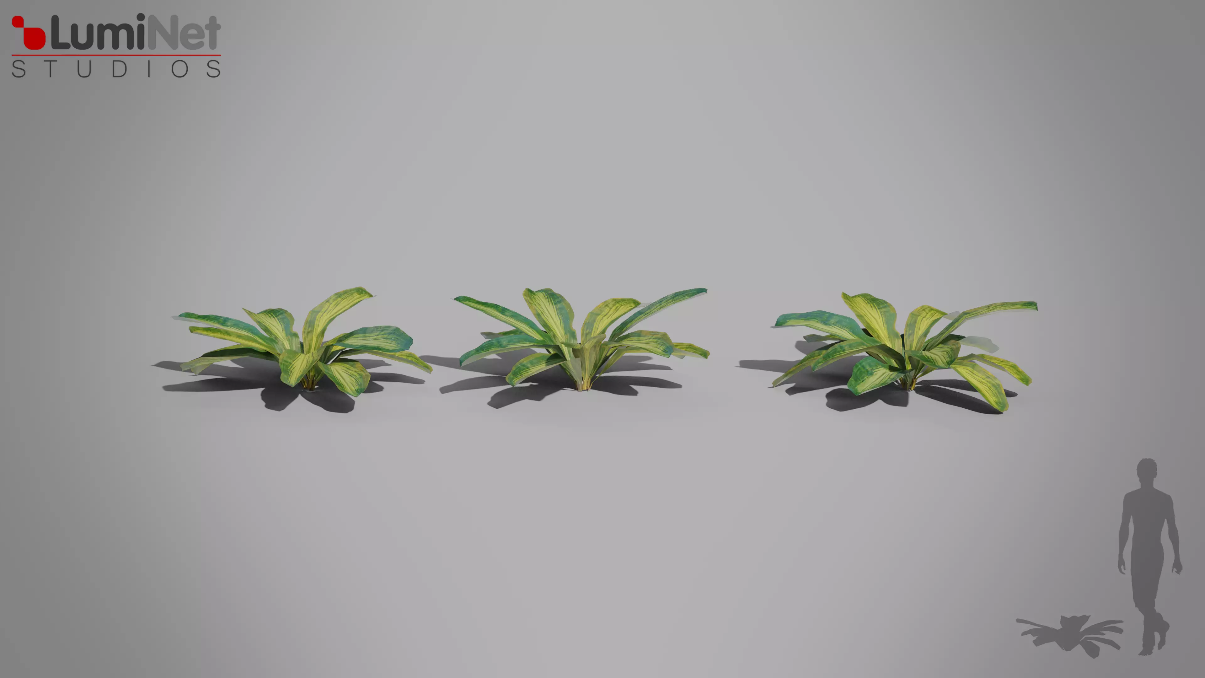 Tropical Leaves Jungle foliage 15 of 18 Low-poly 3D model Low-poly 3D model_0