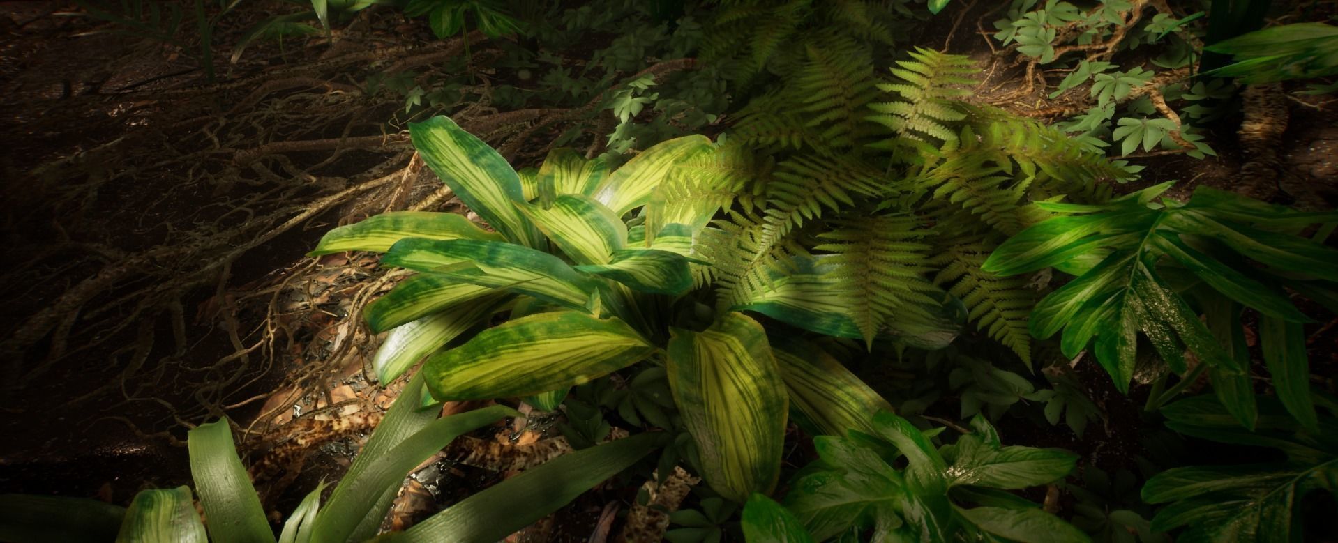 Tropical Leaves Jungle foliage 15 of 18 Low-poly 3D model Low-poly 3D model_3