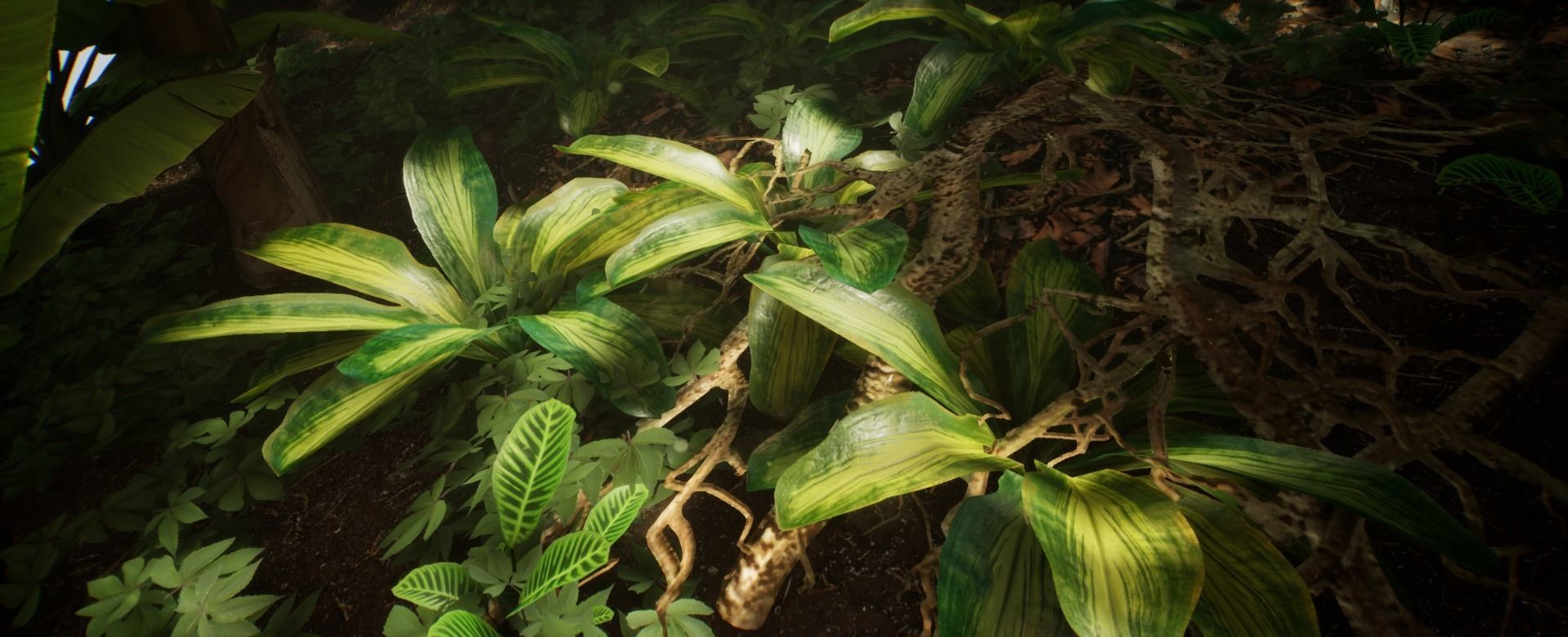 Tropical Leaves Jungle foliage 15 of 18 Low-poly 3D model Low-poly 3D model_4