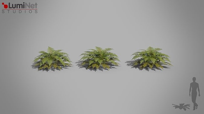 Vegetation Fern Jungle foliage 14 of 18 Low-poly 3D model Low-poly 3D model