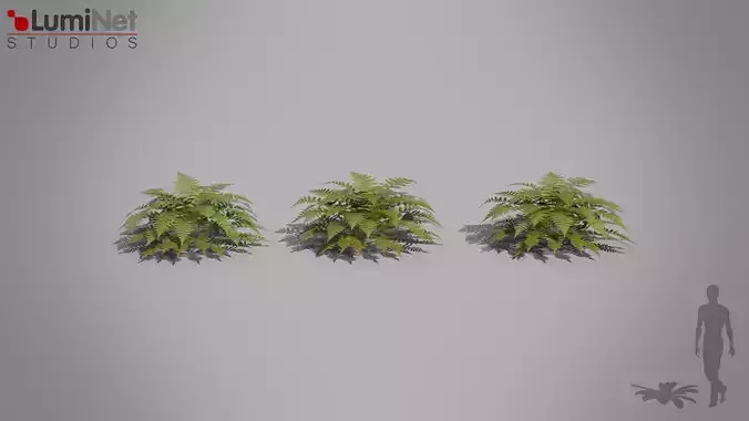 Vegetation Fern Jungle foliage 14 of 18 Low-poly 3D model
