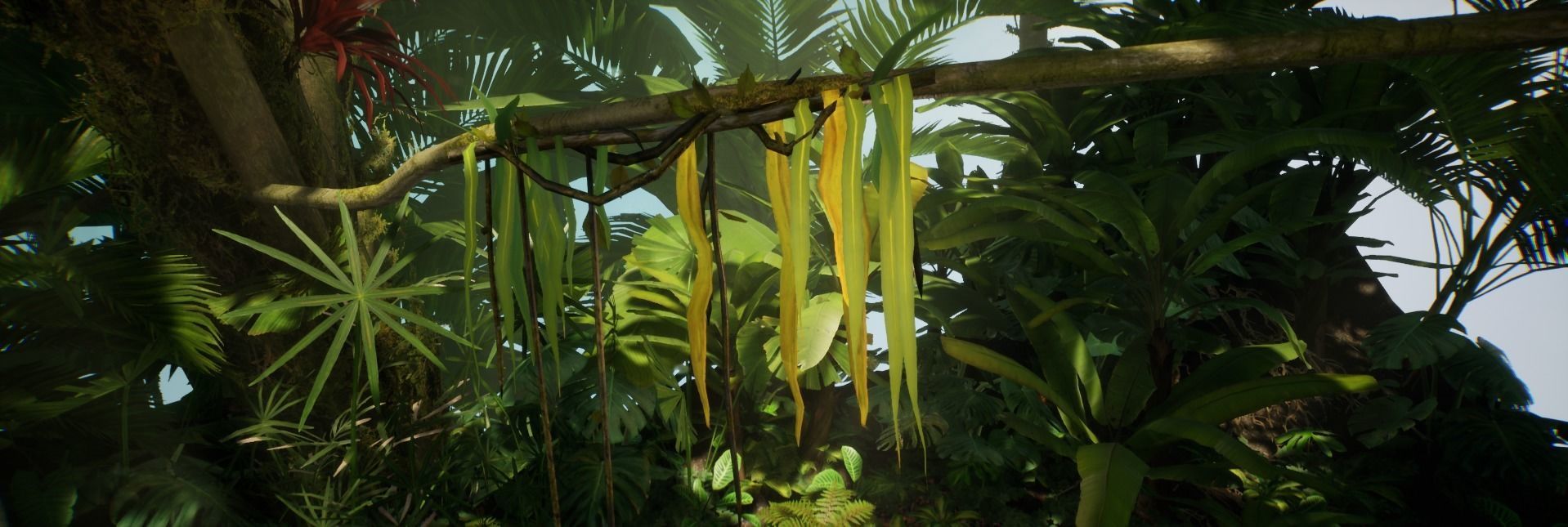 Vine Jungle foliage 16 of 18 Low-poly 3D model Low-poly 3D model_2